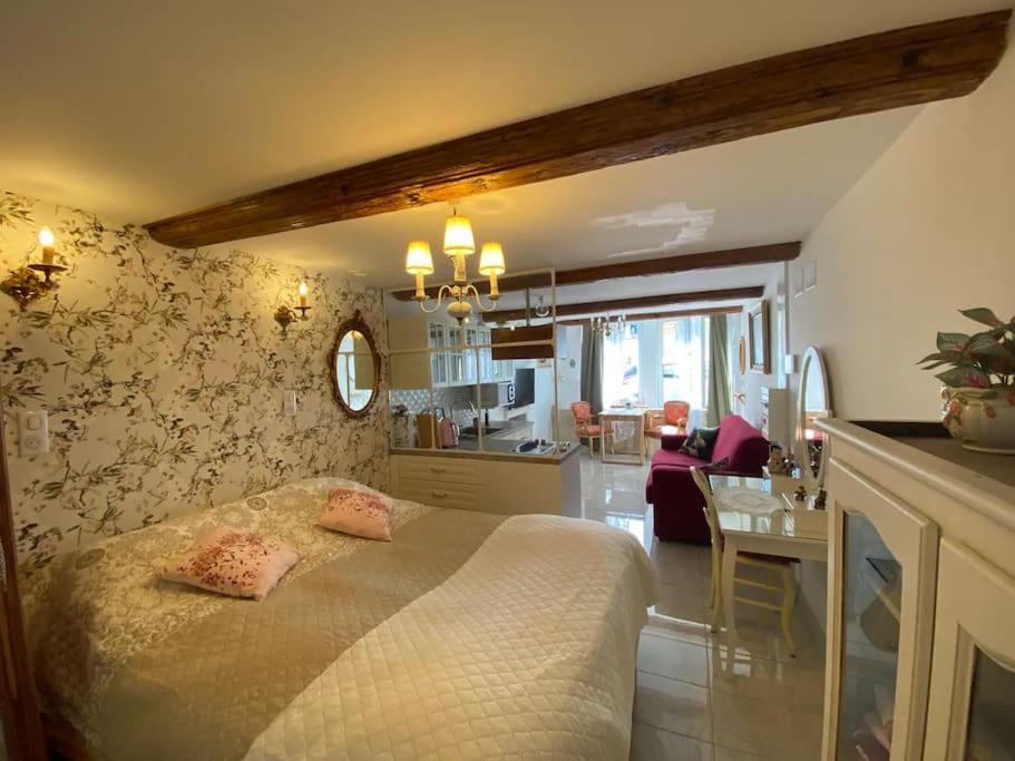 Appartamento Ravissant Shabby Chic Au Centre De Metz Esterno foto